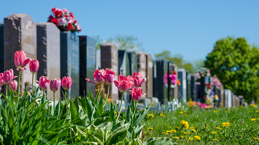 5 Questions to Ask When Choosing a Cemetery