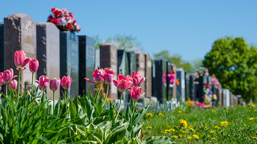 5 Questions to Ask When Choosing a Cemetery