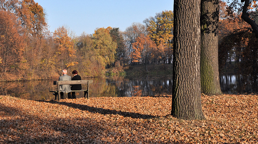 Differences Between Funeral Burial and Cremation Services