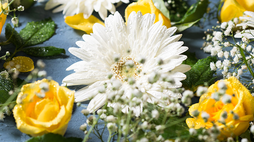 Flower Colors for Funerals