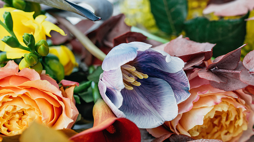 Unique Floral Arrangements for Funerals
