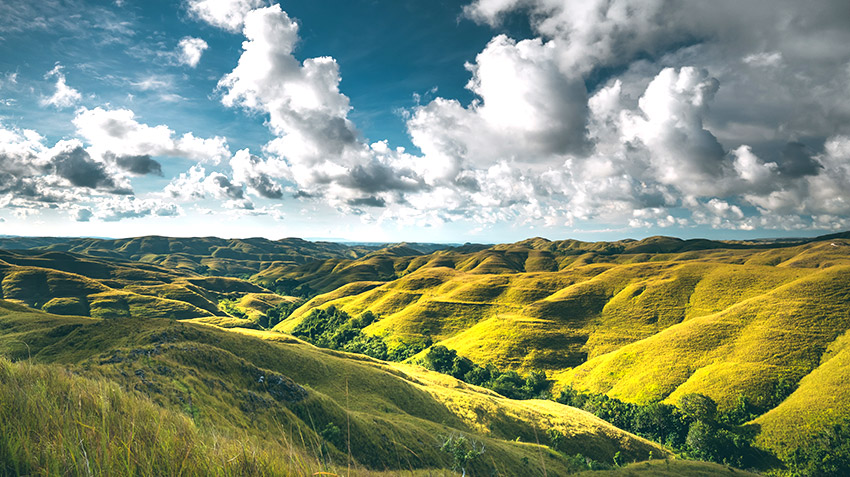 Cremation Certificates